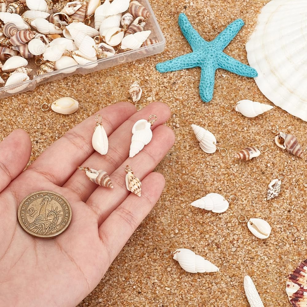 100 قطعة 4 أنماط قذيفة الطبيعي - مراجعة Jewelry Making Online وسعره